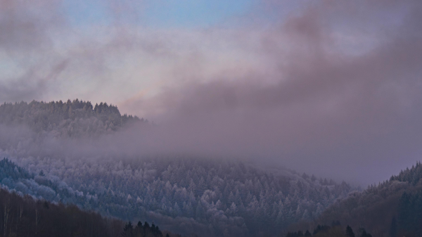 A view up the Peterstal valley at dusk this evening, with fog clearing from the 550 metre high hills to reveal frosted tree tops. 