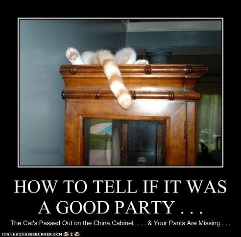 How to tell if the Party was a Good Party.

The cat's passed out on the china cabinet and your pants are missing.