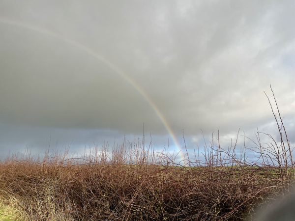 Rainbow over a scrubby brown grass field, coming through grey cumulo nimbus cloud and flashes of blue sky. 