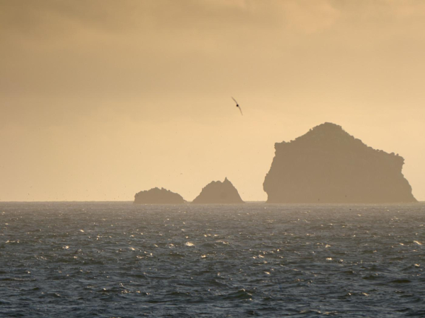 Late light passing Stewart Island