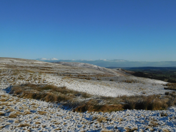 Colour photograph of a stretch of moorland with a thin covering of snow. There is a patch of rushes in the foreground. The sky is a deep blue.