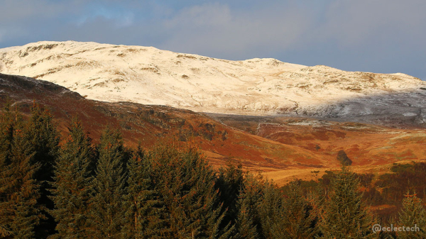 A landscape photo of a Scottish hillside in 4 horizontal layers. At the bottom are fir trees, dark green with dots of bright pine cones clustered on them. Above that a sunlit bare & rocky slope, glowing golden due to the autumnal ground covering and low sun. Above that the higher slope is covered in a thin layer of bright white snow. Above that the sky, blue with some thing cloud cover.