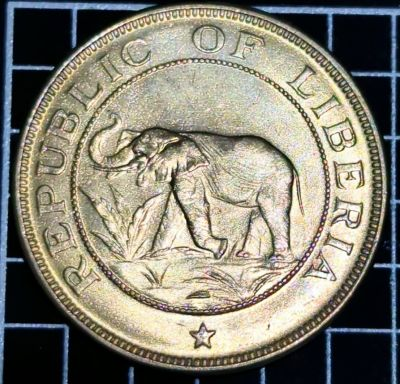 1941 Liberia 2 Cents: Obverse
Elephant within circle above star.

Script: Latin

Lettering:
REPUBLIC OF LIBERIA
★