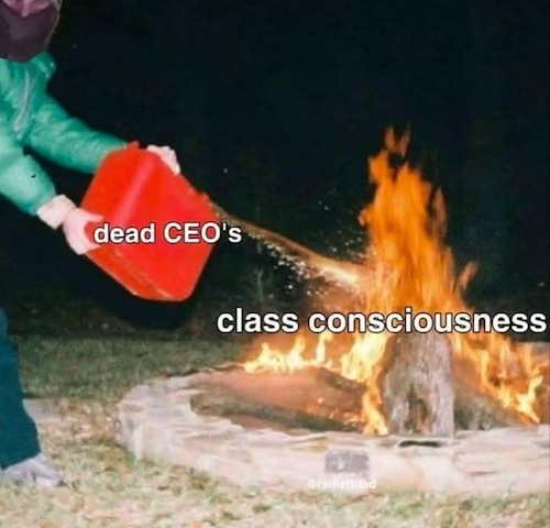 Masked Guy with a gas canister, fueling the fire (Dead CEO's)

Fire (class consciusness)