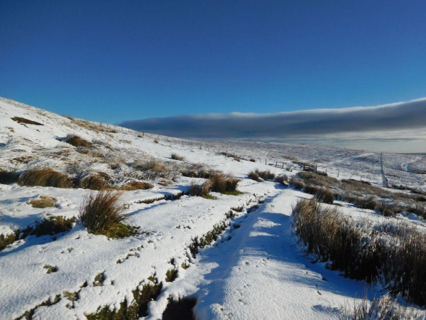 Colour photograph of a snowy moorland scene. Tufts of long grass and rushes stick up through the snow. A rough track is must visible, running away from the viewer towards a wooden five bar gate in a post and wire fence. The sky is blue, with a bank of low cloud on the horizon. 