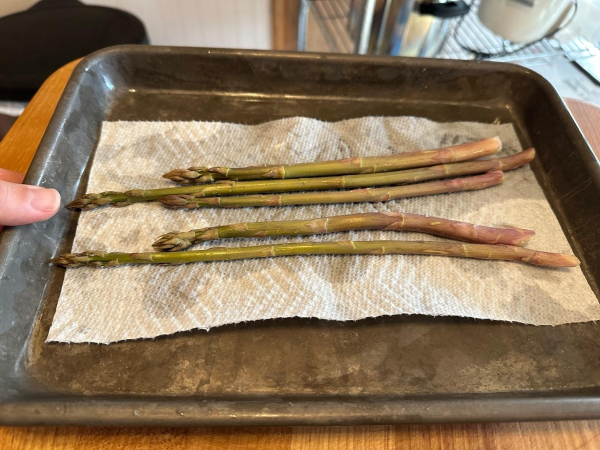 Five stalks of fresh cut asparagus on a paper towel in a metal baking tray. They fade dark green to light purple at the bottom.