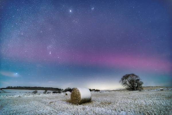 An image of a snowy landscape with a starry sky above. Aberdeenshire, Scotland