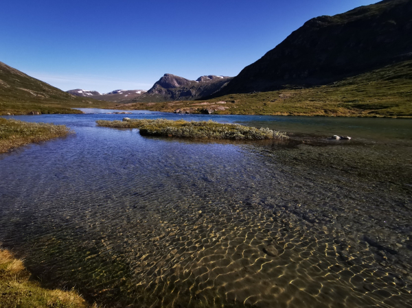 View over shallow river in Norwegian national park