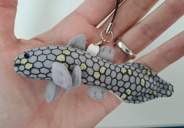 Photo of a small plush coelacanth fish on a keychain. It fits on my palm. The fish has a grey and gold scale pattern and small grey fins, and a black bead for an eye.