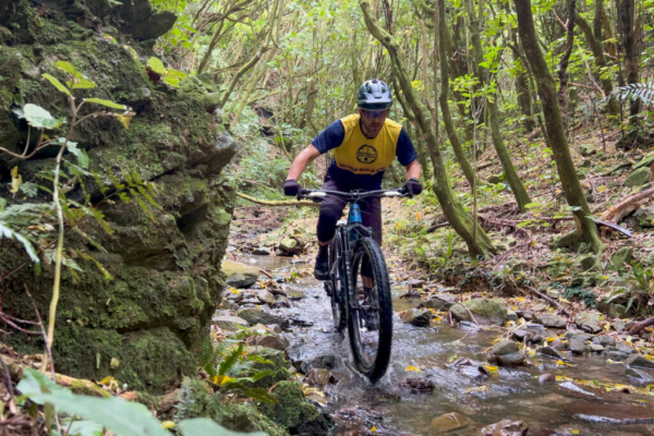 Wellington, New Zealand, is the best capital city in the world for mountain biking