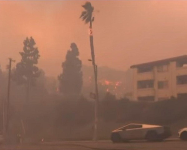 A palm tree on fire next to an abandoned Cybertruck in Los Angeles, January 2025.