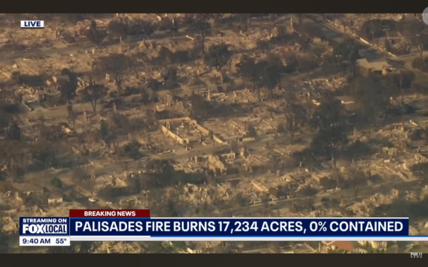 Aerial shot of burned homes in Pacific Palisades