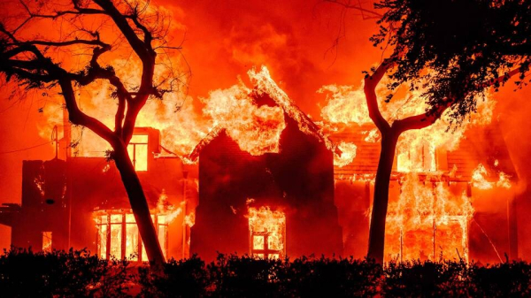 Netizens rake up James Woods' pro-genocide tweets as LA fire burns his home