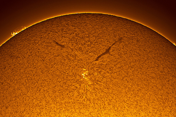 Sunspot in the Old Solar Cycle