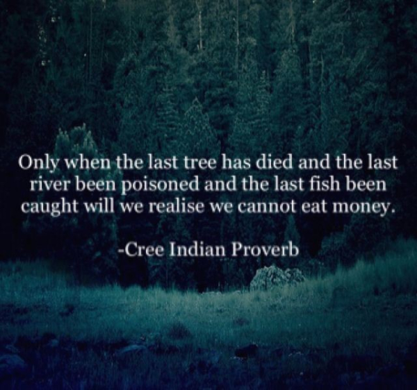 A picture of a pine forest with the following text superimposed:

ONLY WHEN THE LAST TREE HAS DIED AND THE LAST RIVER BEEN POISONED AND THE LAST FISH BEEN CAUGHT WILL WE REALISE WE CANNOT EAT MONEY.

CREE INDIAN PROVERB