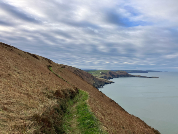 Photo of a view along the coast path in the opposite direction. A green ribbon of path snakes along the steep coastal slope, brown with bracken. A thin, finger-like headland juts out into the flat, grey-blue sea. There is an interesting pattern of clouds, almost mackerel-like, with glimpses of blue peeking through.