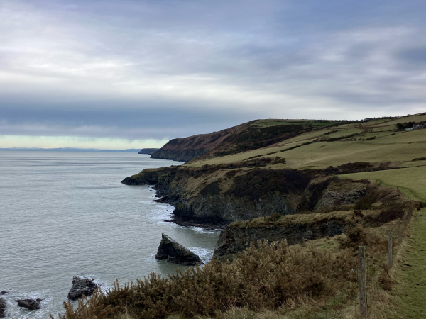 Photo of a view back along the coast path. The coast here is rugged. Gently sloped grass fields give way to sheer, dark cliffs, with inaccessible coves and jagged rocks at the base. Again, a thin strip of blue sky over the mountains on the horizon, sandwiched between grey-blue sea and sky. 