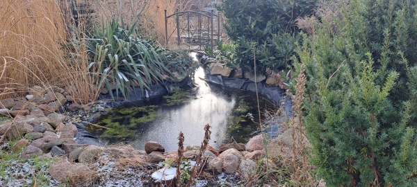 Kleingarten mit gefrorenem Gartenteich