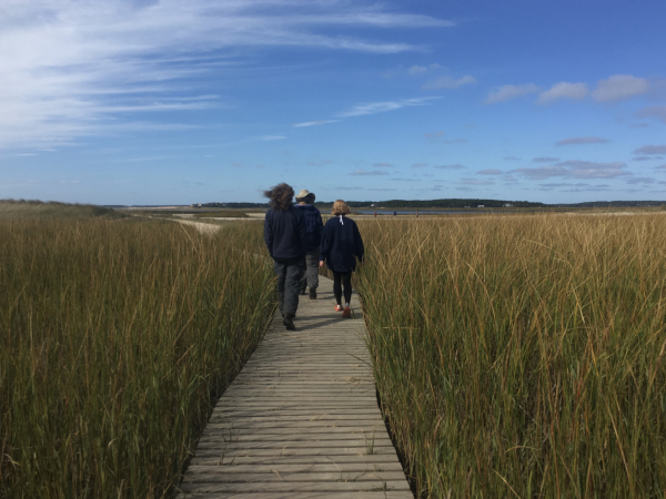 A group of people walking on a wooden boardwalk through tall grasses under a blue sky with scattered clouds.