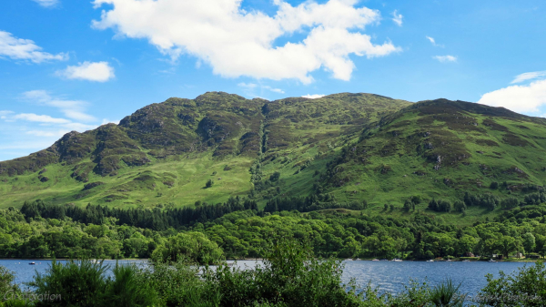 A colour photo of a body of water with mountains on the opposite side. The sky is blue with fluffy scattered clouds and the waters of the loch are reflecting this. The flanks of the mountains (known as "Grahams") are clothed in green vegetation, the lower parts covered in woodland and the upper flanks showing patches of brownish scrub. In the centre of the shot and down the side of the mountain is a cleft filled with trees, this is a waterfall cascading down, encouraging strong growth. The foreground in front of the loch waters is a row of green trees. Dotted across the water are small boats, and more of them are moored on the opposite shore. It's beautiful.