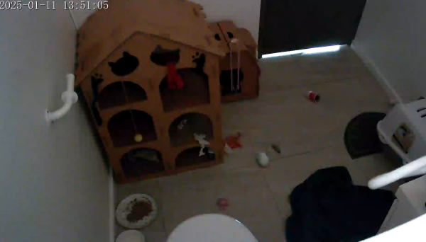 A webcam view of a bathroom showing a three storey high cardboard play centre for cats, alongside a single storey one. Toys are strewn across the floor.
