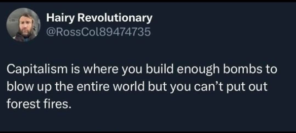 Hairy Revolutionary
@RossCol89474735

Capitalism is where you build enough bombs to
blow up the entire world but you can’t put out
forest fires.