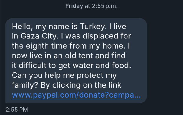 DM from a scammer named Turkey in Gaza City.