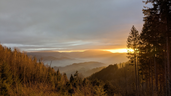 A sunset over a vast mountain range. The sun is setting behind rolling hills, casting a warm golden light on the landscape. In the foreground, a dense forest of evergreen and deciduous trees is silhouetted against the glowing sky.  A misty layer hangs low in the valleys between the mountains.