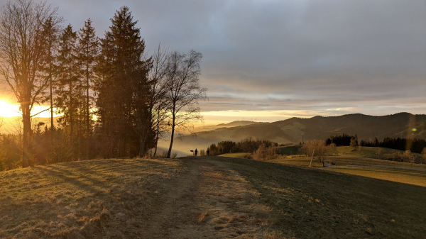 A sunset over rolling hills and a grassy field.  The sun is setting on the left, casting a golden light.  Several evergreen trees stand silhouetted against the bright sky. A bare, deciduous tree is visible in the middle ground.  In the distance, more hills are visible, extending to the horizon. Two figures are walking on a path that leads down from a rise in the land toward the viewer.