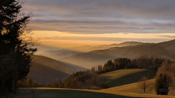 A panoramic view of rolling hills and valleys at sunset. The foreground shows a grassy field with a few bare deciduous trees and a small shed.  The midground depicts layers of hills covered with dark green forests, illuminated by the warm, golden light of the setting sun. In the far background, more hills extend to the horizon, with a few wind turbines visible on a distant ridge. The sky is a mix of soft purples, oranges, and grays. A dark evergreen tree is partially visible in the left foreground.