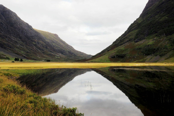 Blick auf einen See zwischen zwei hohen Bergzügen, die sich im Wasser spiegeln. Die Farben sind grün und braun, der Himmel ist grau. Gelbe Seegräser sind in der horizontalen Mitte des Bildes. 

View of a lake between two high mountain ranges that are reflected in the water. The colours are green and brown, the sky is grey. Yellow seagrasses are in the horizontal centre of the picture. 