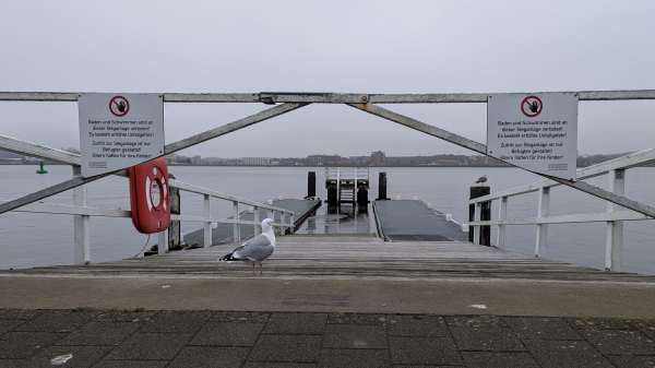 Eine adulte Silbermöwe sitzt am Anfang eines Stegs, der mit einem weißen Tor versperrt ist. Links und rechts hängen Schilder mit der Aufschrift: " Baden und Schwimmen sind an dieser Steganlage verboten. Es besteht eine erhöhte Unfallgefahr. Zutritt zur Steganlage ist nur Befugten gestattet. Eltern haften für ihre Kinder"
Links am Steg hängt ein roter Rettungsring. 
Im Hintergrund ist die Kieler Förde. 