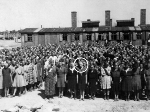 Photograph of a large group of female prisoners standing in rows at Auschwitz II-Birkenau, with buildings in the background.