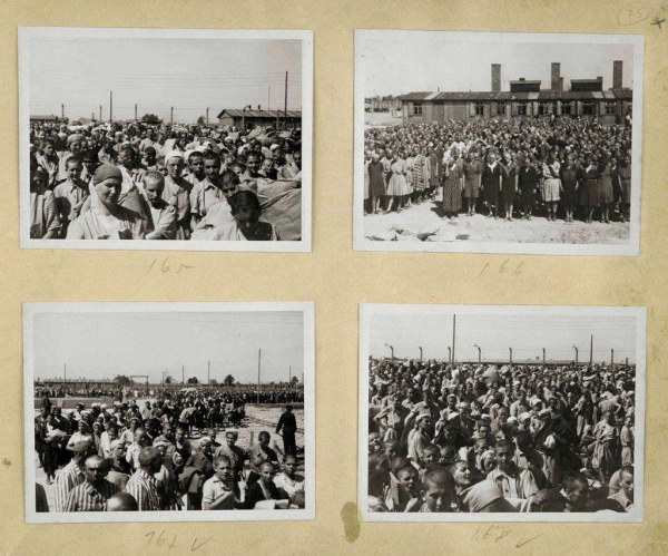 Four black-and-white historical photographs showing large groups of people at Auschwitz II-Birkenau camp, with barracks visible in the background. Each image captures different scenes within fenced areas.