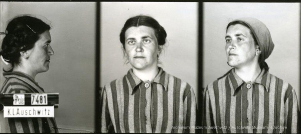 A mugshot registration photograph from Auschwitz. A woman wearing a striped uniform photographed in three positions (profile and front and a photo with a slightly turned head with a headscarf on). The prisoner number is visible on a marking board on the left.