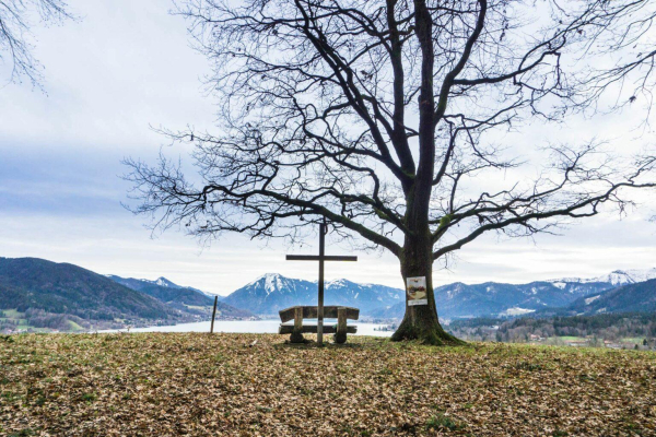 Ein alter, ausladender Baum, komplett ohne Blätter. Diese liegen rund herum auf der Wiese. Neben dem Baum stehen eine Holzbank und ein schlichtes Holzkreuz. Von der Bank aus schaut man auf den tiefer gelegenen Tegernsee und auf die dahinter liegenden  Berge.