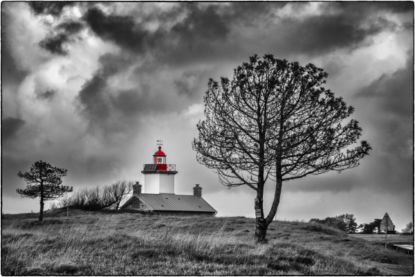 Fotografie einer schwarz-weißen Landschaft mit einem Leuchtturm im Hintergrund. Der Himmel ist bewölkt und dramatisch. Im Vordergrund stehen zwei Bäume. Der Leuchtturm hat einen roten oberen Teil, der das einzige farbige Element im Bild ist. 