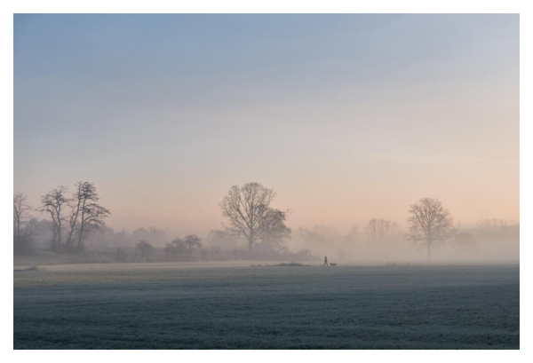 A walker takes his dog across a frost-covered meadow in the early morning. On the horizon, tall bare trees stand out in the morning mist. The cloudless sky is already partly blue, partly still tinged with a delicate dawn red.