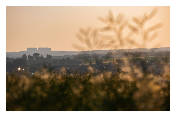 Goldene Stunde. Teleaufnahme einer Landschaft mit Wiesen, Weiden, Feldern und Häusern. Im Vordergrund sind unscharf struppige Pflanzen. Drei Äste mit Blättern ragen heraus und sind so auch vor dem Himmel. Die Landschaft dahinter ist in mehrere Ebenen aufgeteilt. Am Horizont sind die grauen Silhouetten zweier Hochhäuser. Davor sind die dunkleren Silhouetten von Bäumen. Der Himmel ist goldgelb. 