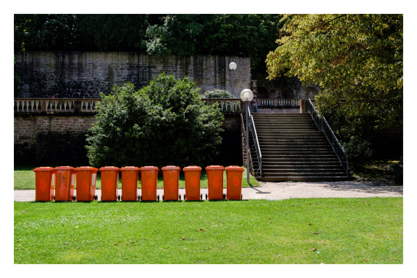 Foto im Querformat. Eine Parkanlage im Sommer, Büsche baume, alte breite Treppen führen zu einer höheren Ebene. Darunter verläuft ein heller Fußweg. Zwischen Fußweg und Wiese stehen sauber aufgereiht zehn orangene Mülltonnen. 