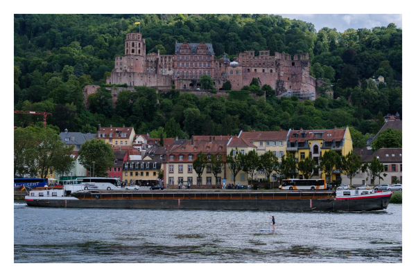 Foto im Querformat. Blick über den Neckar auf die Altstadt und das Heidelberger Schloß. Auf dem Neckar fährt ein großes Gütermotorschiff, welches die komplette Breite des Bildes einnimmt. Davor fährt eine einzelne Person auf einem Stand-Up Paddle-Board. Im Vergleich zum Gütermotorschiff ist die Person winzig. 