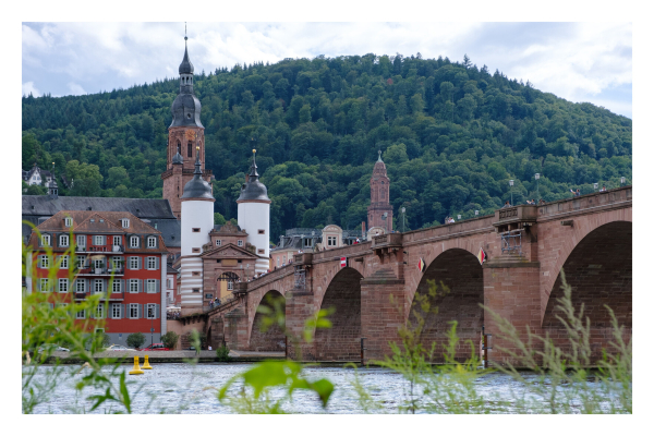 Foto im Querformat.  Blick über den Fluss Neckar auf die Alte Brücke in Heidelberg. Die Brücke ist eine Bogenbrücke aus rotem Sandstein. Am anderen Ufer ist ein Teil der Altstadt mit einem Kirchturm, dahinter erhebt sich ein bewaldeter Berg. Der Himmel ist leicht bewölkt. Ganz im Vordergrund ragen einige grüne Pflanzen ins Bild. 