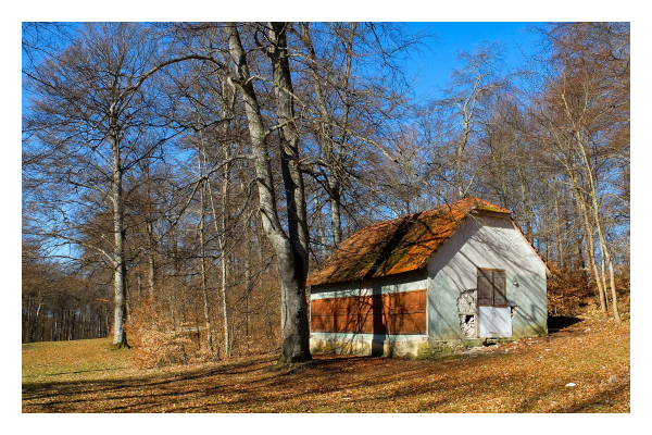 Foto im Querformat. Ein Waldstück zu Frühlingsanfang. Die Bäume haben keine Blätter, der Boden ist bräunlich. Zwischen den Bäumen steht ein weißes Haus mit rotbraunem Dach und Fensterläden. Die kahlen Bäume werfen Schatten auf das Haus. Der Himmel ist strahlend blau. 