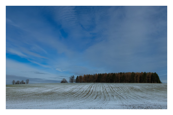 Foto im Querformat. Ein verschneites Feld, welches Richtung Horizont leicht bergauf geht. Oben ist ein kleines Waldstück. Das Feld ist voller gepflügter Rinnen, die alle Richtung Horizont gehen. Der Himmel ist bewölkt, an manchen Stellen schaut das blau des Himmels durch. 