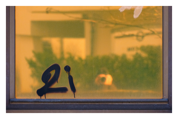 Foto im Querformat. Ein Ausschnitt einer dunkel getönten Fensterscheibe. Darauf ist mit schwarzer Farbe 2i geschrieben worden. Im Glas spiegelt sich, alles in einem bräunlichen Farbton, Gebäude, ein Busch und ich mit der Kamera vorm Gesicht. 