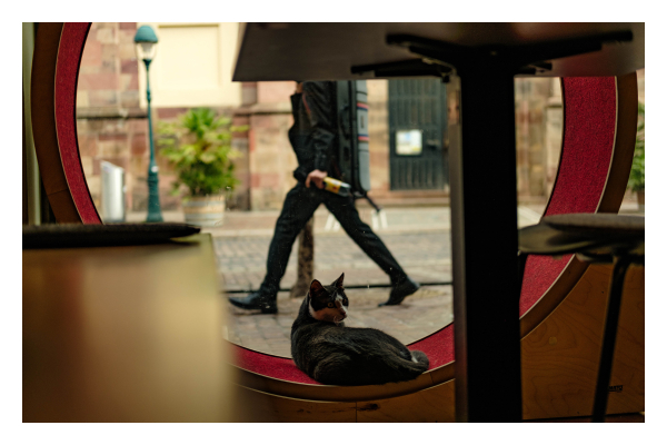 Foto im Querformat. Blick aus dem Schaufenster des Katzentempels in Freiburg. Im Schaufenster ist ein großes rotes Laufrad in dem eine schwarz-weiße Katze liegt. Sie schaut nach hinten. Hinter dem Fenster ist die Fußgängerzone, eine Person läuft gerade durchs Bild, die Katze liegt genau zwischen den beiden Beinen der laufenden Person. Den Kopf der Person sieht man nicht, du dieser durch einen Tisch im Restaurant abgeschnitten ist. Da Foto wird unter einer Tischplatte durch gemacht. 