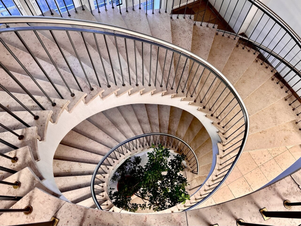 Eine breite Wendeltreppe wendelt sich spiralförmig nach unten. In der Mitte unten steht eine Zierpflanze. 