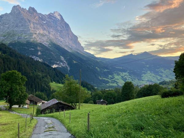 Farbfoto: Blick von einer erhöhten Position auf grüne wellige Wiesen, Gebäude mit Flachdach, im Hintergrund felsige Gipfel im Abendlicht. 