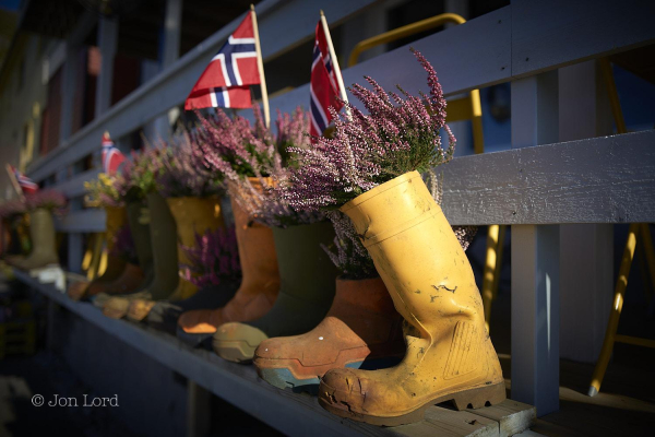 An Abstract Colour Photo In Landscape Format. In The Foreground And To The Right Of Centre Is A Bright And Weathered Yellow Rubber Boot (Wellington Boot) Its Toe Area Worn And Cracked. Stuffed In The Top Is A Large Bunch Of Green And Purple Heather. Moving Away From The Camera Is Another Yellow Boot, Missing The Part Above The Ankle, Still Stuffed With Heather But With A Small Stick And Flag Coming Out Of The Top. Next A Green Boot, With Heather But No Flag Then Another Yellow Boot, Again With Heather And Flag. And So The Row Of Boots Continue (Ten Or More) In A Slightly Random Fashion All Resting On A Stout Grey Wooden Line Of Planks - Fading Out Of Focus Into The Distance.
The Location Is The Sjøgata Pub (Other Watering Holes Are Available - But Not Many) In Honningsvåg. 71º North Of The Equator, Very High In The Norwegian Arctic (2018)