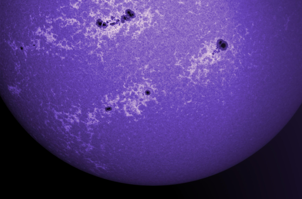 Eine Hälfte der Sonne eingefärbt in blauviolett mit mehreren Sonnenfleckengruppen umgeben von hellen Fackelgebieten